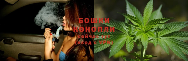 spice Лабытнанги