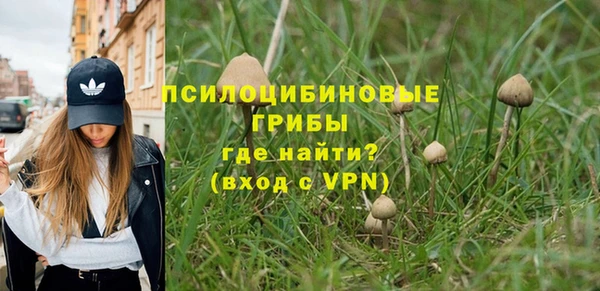 spice Лабытнанги