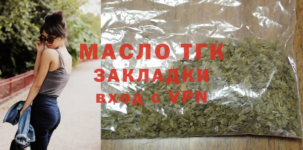 гашик Козельск