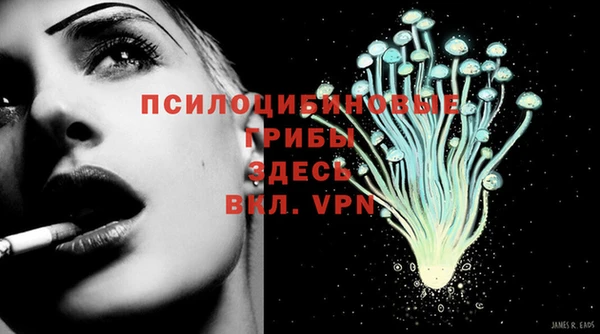ПСИЛОЦИБИНОВЫЕ ГРИБЫ Козловка