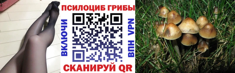 Галлюциногенные грибы мухоморы  Нестеров 